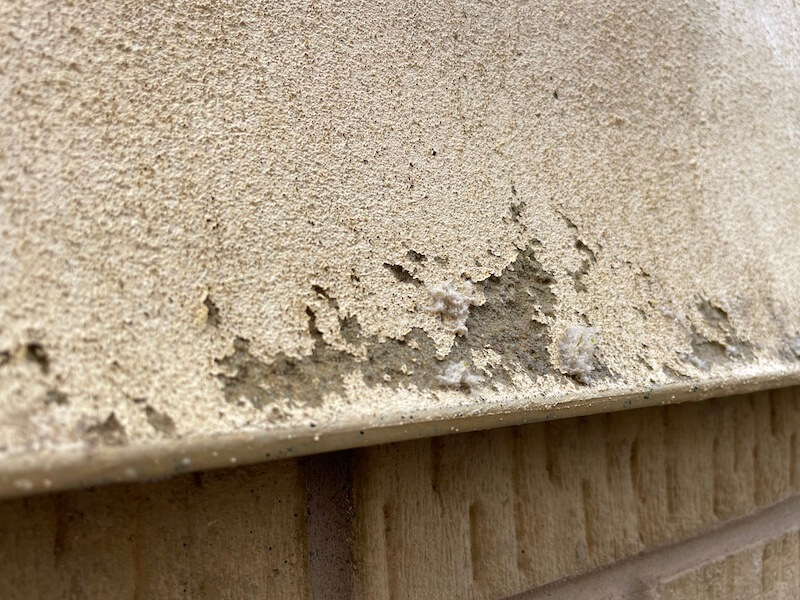 The Unseen Damage Caused by Moss and Lichen: Why Professional Exterior Cleaning Matters